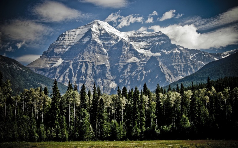 Dovetail Environmental Quiz - 2016 Update