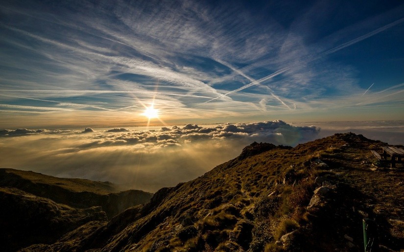 Understanding the Role and Findings of the IPCC