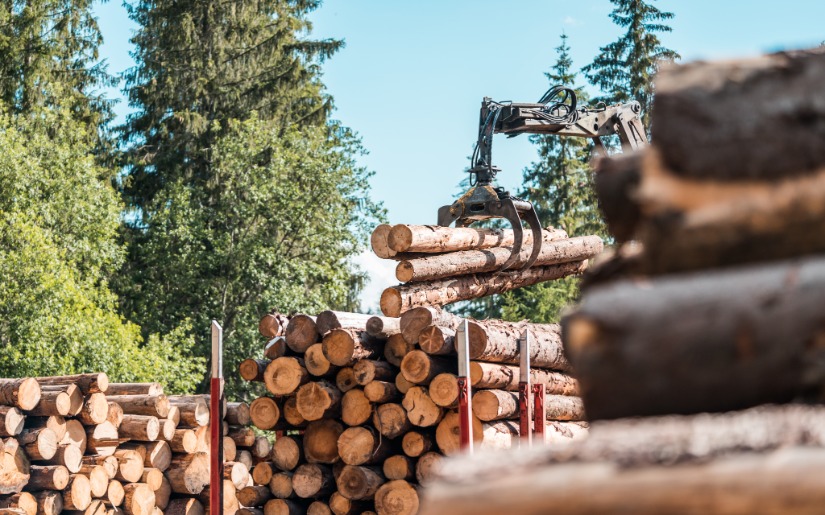 Join Dovetail Partners at Green Forest Jobs Workshop