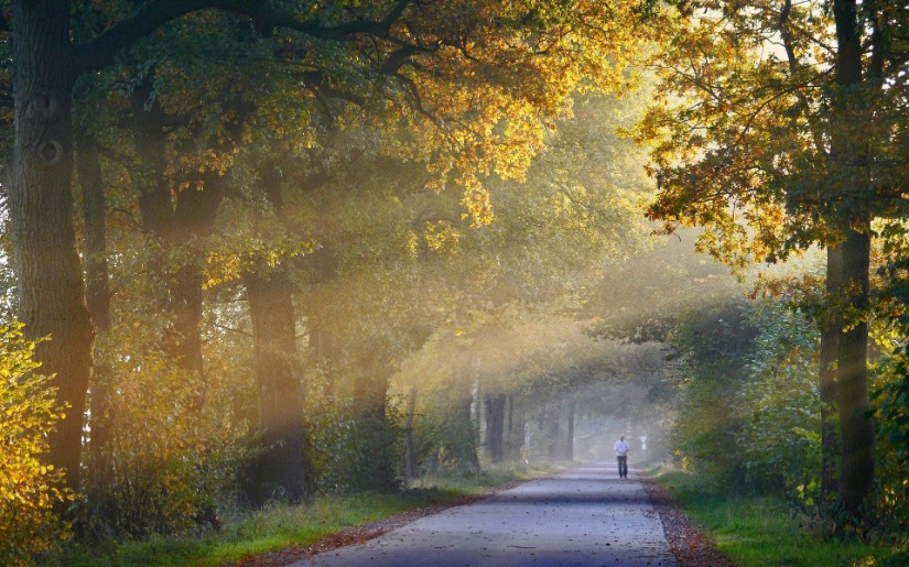 Carbon and Carbon Dioxide Equivalent Sequestration in Urban Forest Products - Full Report