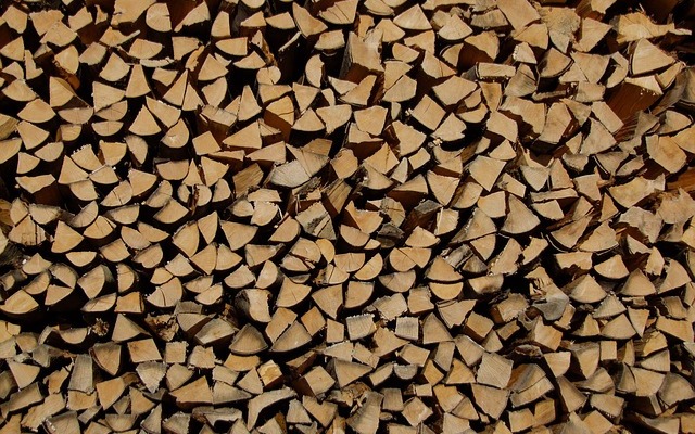 Beginner's Guide to Third-Party Forest Certification - SFI