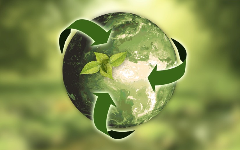 Are Life Cycle-Based Labeling and a Broadening of Environmental Certification Programs Needed?