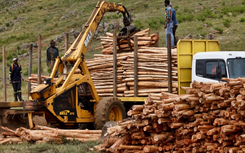 Reduced Impact Logging: A lighter approach to harvesting in the World's Tropical Forests