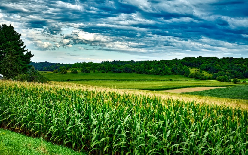 Biomass Energy - From Farms to Forests an Emerging Opportunity for Rural America