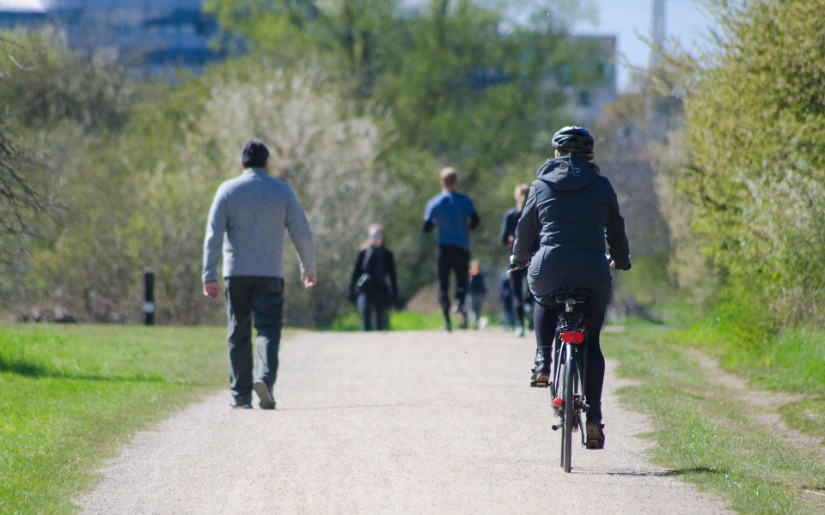 Urban Tree Utilization and Why it Matters