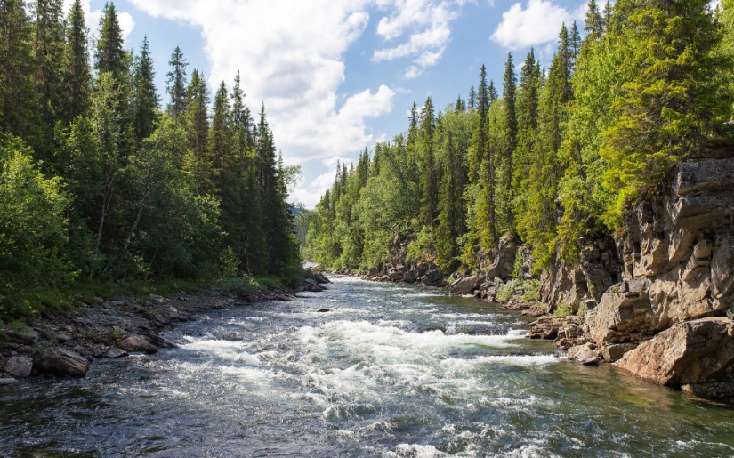 Wilderness Society Report On Wood Products And Carbon Storage: A Critical Review - Follow up