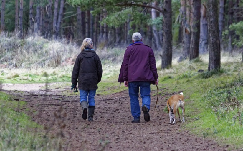 Dovetail Partners Celebrates Advancement of the Family Forest Carbon Program