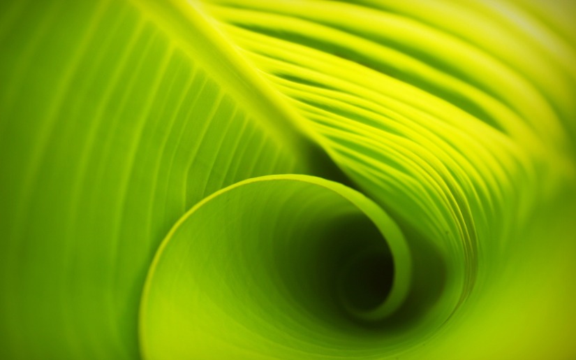 Understanding Environmental and Social Responsibility Labels