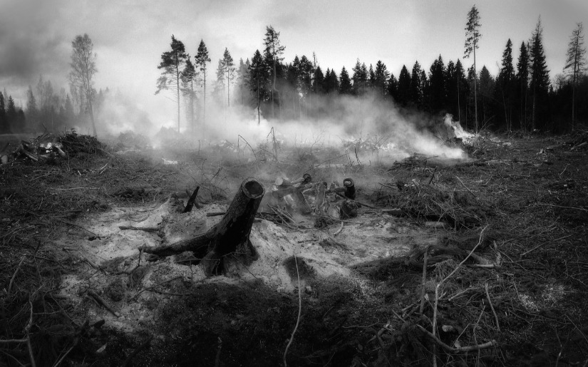 Commentary: Western Wildfires:  How did we get into this mess and how can we get out of it?